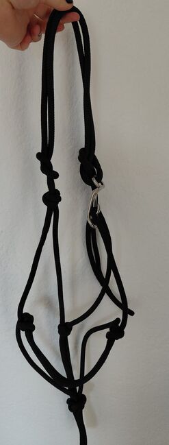 Knotenhalfter, Sophie Marie Studer, Bodenarbeit, St.Erhard