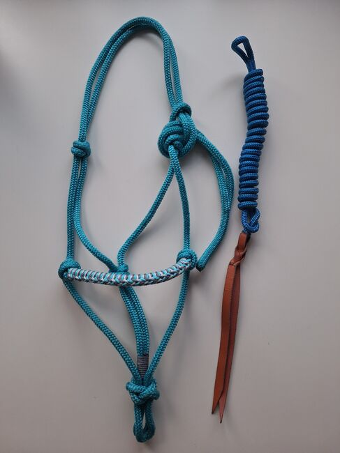 Knotenhalfter Minishetty, Procavallo Knotenhalfter, Celine Mager, Halfter, Kamenz