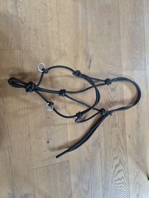 Knotenhalfter mit Seitenring, Céline, Halters, Worb, Image 3
