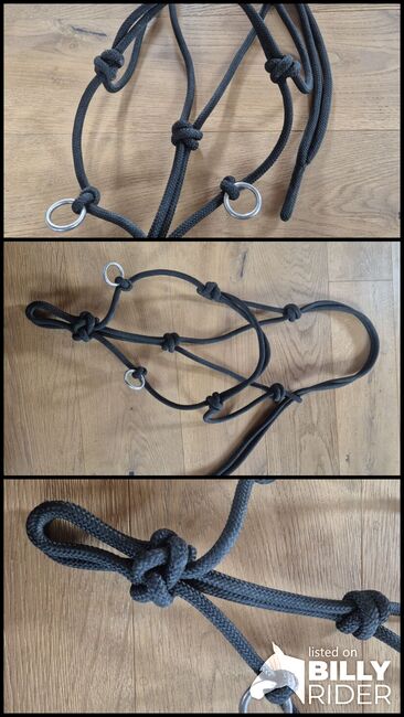 Knotenhalfter mit Seitenring, Céline, Halters, Worb, Image 4