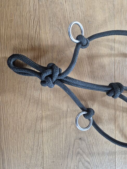 Knotenhalfter mit Seitenring, Céline, Halters, Worb, Image 2