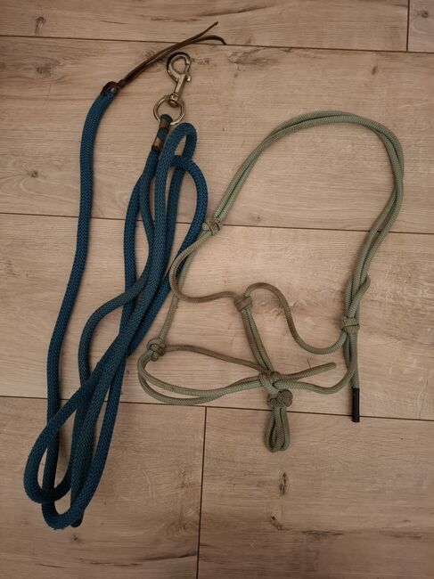 Knotenhalfter VB, Gina, Bodenarbeit, Lamstedt