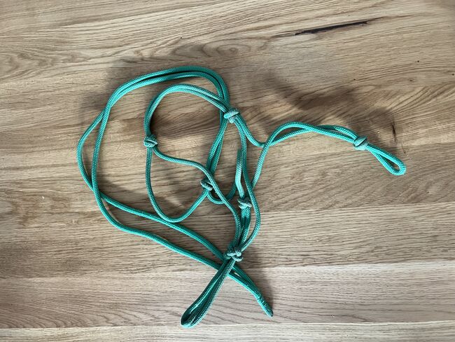 Knotenhalfter WB, Sandra Kappel, Bodenarbeit, Kramsach