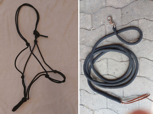 Knotenhalfter und Western-Rope, N.E., Bodenarbeit, Gütersloh