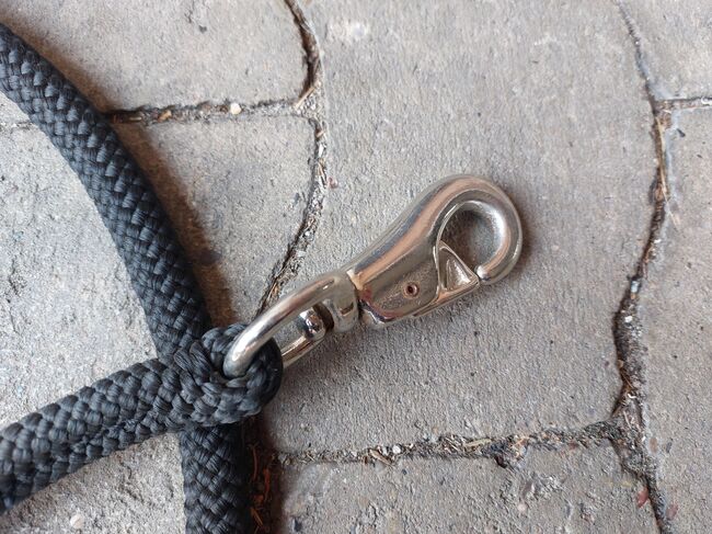 Knotenhalfter und Western-Rope, N.E., Bodenarbeit, Gütersloh, Abbildung 4