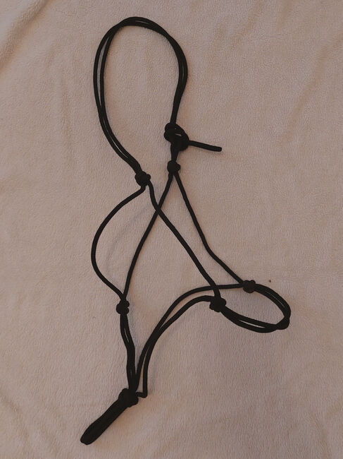 Knotenhalfter und Western-Rope, N.E., Bodenarbeit, Gütersloh, Abbildung 5