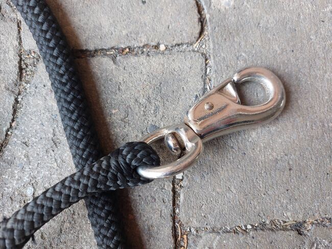 Knotenhalfter und Western-Rope, N.E., Bodenarbeit, Gütersloh, Abbildung 6