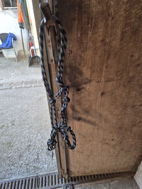 Knotihalfter Gr Full, Covalliero, Tamara O., Bodenarbeit, Windisch