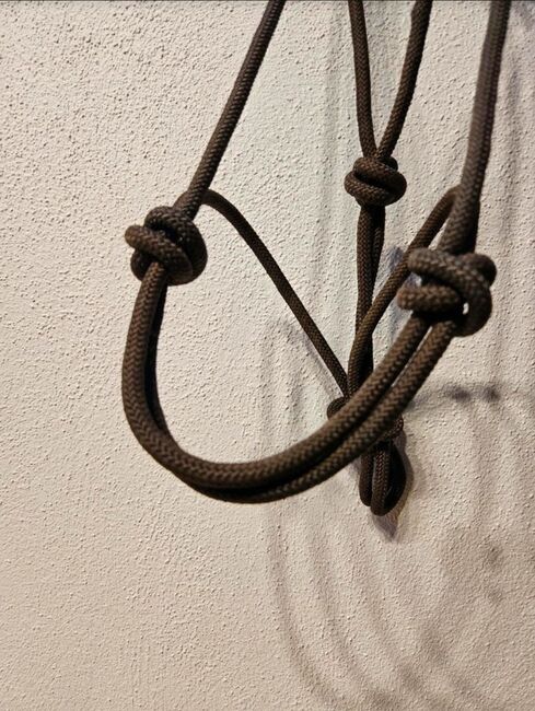 Knotenhlafter, Kirsten Reiser, Halters, Weil der Stadt, Image 3