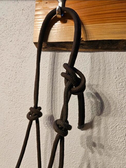 Knotenhlafter, Kirsten Reiser, Halters, Weil der Stadt, Image 2