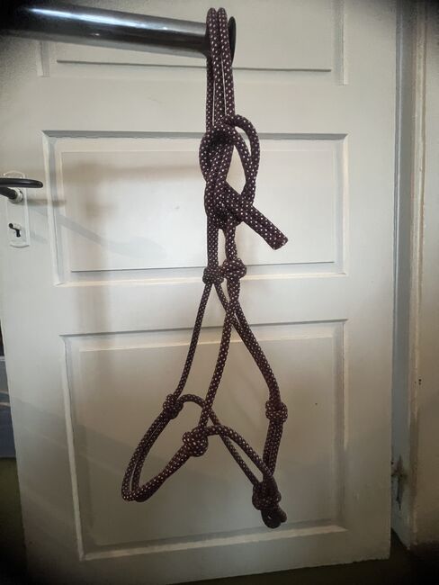 Knotenhalfter, WB, bordeaux-silber, Gaby Lais, Halters, Malsburg-Marzell