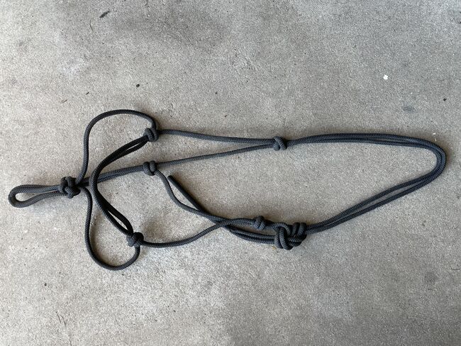 Knotenhalfter wb, Pia Pfaffmann, Halters, Falkensee