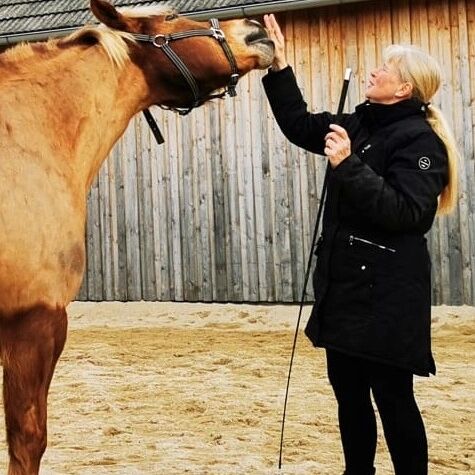 Schmußebär sucht neuen Wirkungskreis, Regina Warholek , Horses For Sale, Gerweis, Image 3