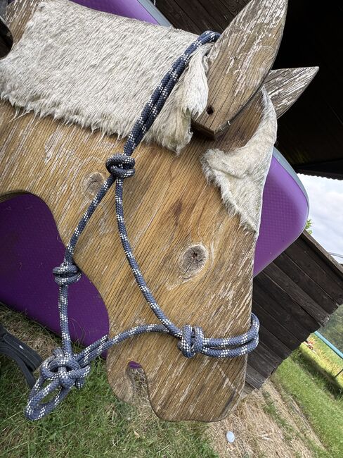 Knoten Halfter, Marina , Halters, Gütersloh, Image 3