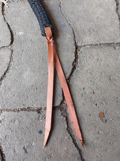 Knotenhalfter und Western-Rope, N.E., Groundwork, Gütersloh, Image 3