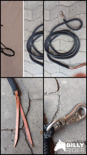Knotenhalfter und Western-Rope, N.E., Groundwork, Gütersloh, Image 7