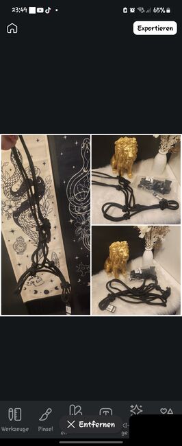 Knotenhalfter & Strick Neu von HKM, HKM  Knotenhalfter & Strick , Anastasia , Halters, Stockelsdorf