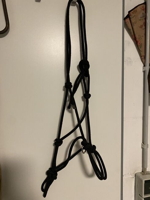 Knotenhalfter, Celine, Halters, Drensteinfurt, Image 2
