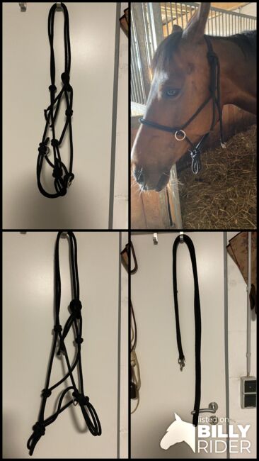 Knotenhalfter, Celine, Halters, Drensteinfurt, Image 7