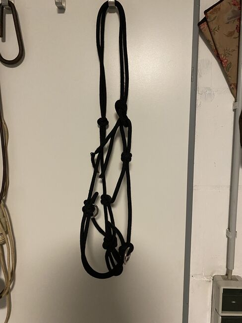 Knotenhalfter, Celine, Halters, Drensteinfurt