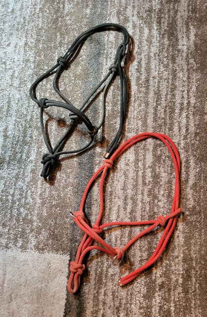 Knotenhalfter, Drea, Halters, Geilenkirchen