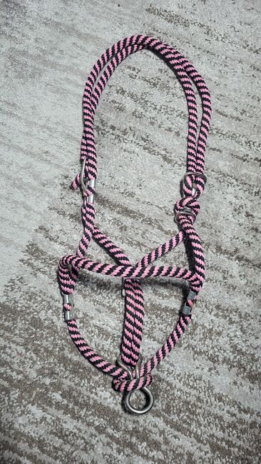 Knotenhalfter, Drea, Halters, Geilenkirchen