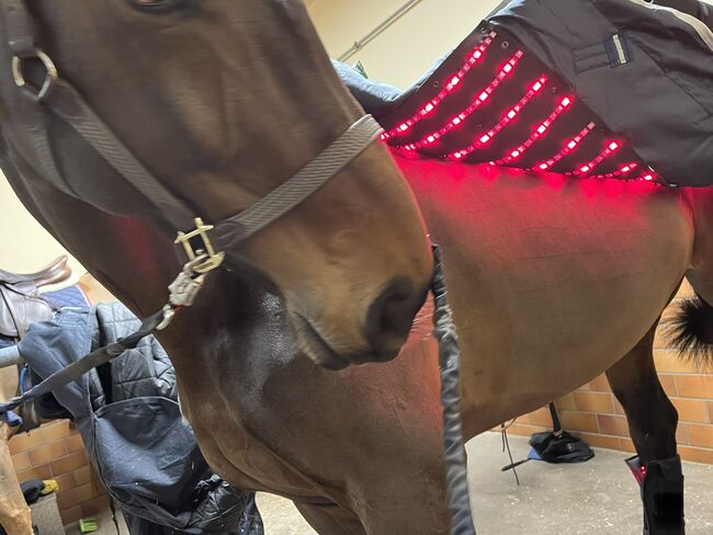 Lichttherapie-Decke für Pferde (Lichttherapie System), Christel, Derki dla konia, Balingen, Image 3