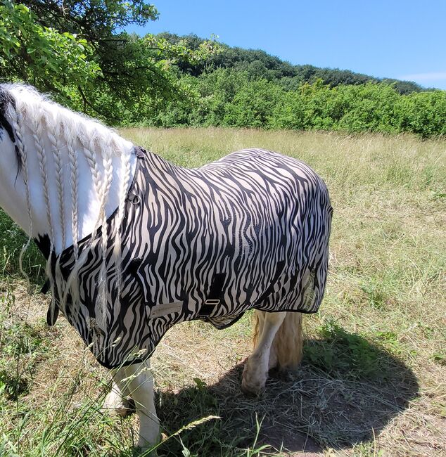 Fliegendecke Zebra gr 145, Fliegendecke , Denise, Ochrona koni przed owadami , Niedergebra, Image 2