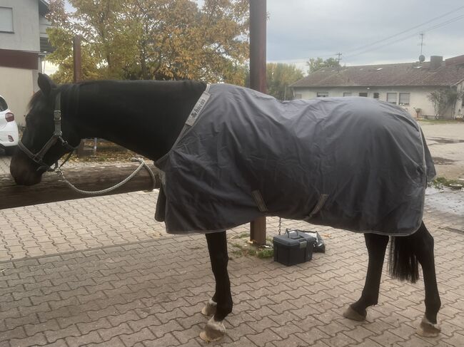 Regendecke Bucas, Bucas  Outdoor Smartex Rain, Alvina Harroider, Derki dla konia, Dreieich