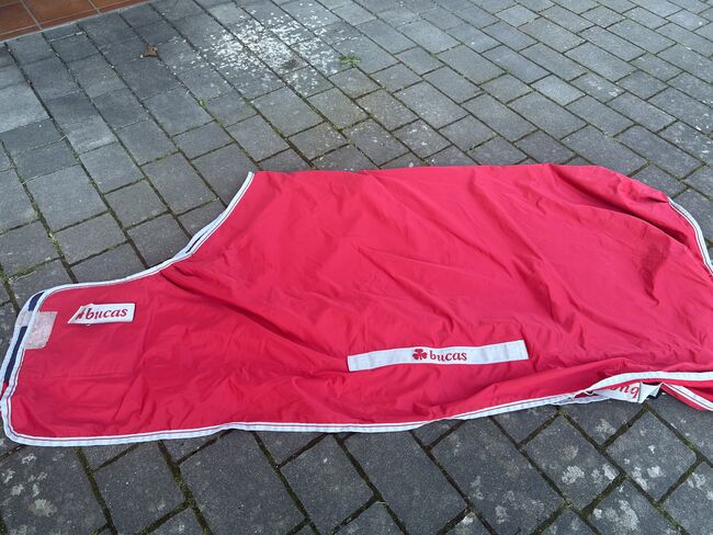 Pferdedecken, Fedimax Übergangsdecke, Elke Sippel , Derki dla konia, Ringgau, Image 3