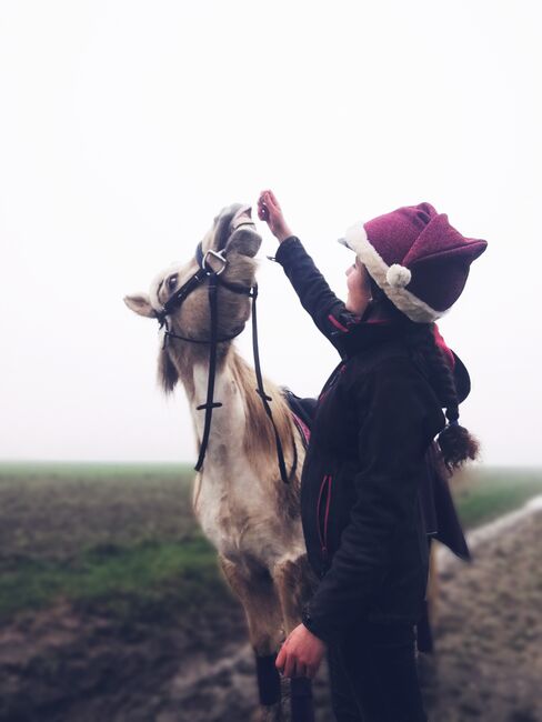 Liebes Reitpony • Allrounder • Freizeitpferd • Stute • 13 Jahre, Naemi Janzen, Konie na sprzedaż, Kaarst, Image 5