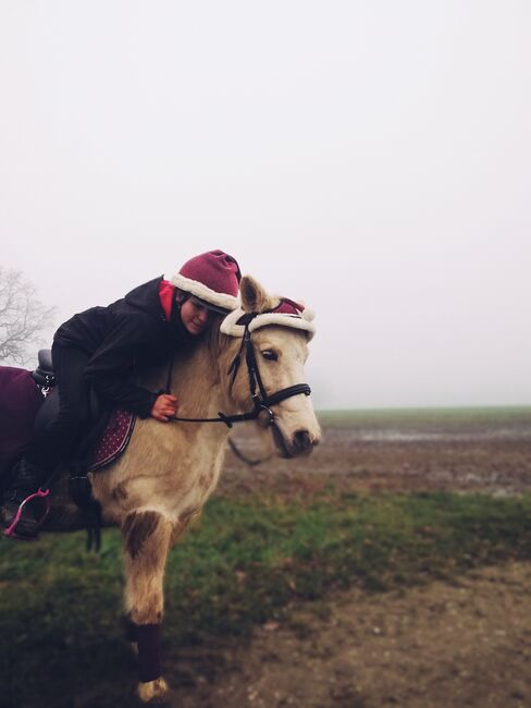 Liebes Reitpony • Allrounder • Freizeitpferd • Stute • 13 Jahre, Naemi Janzen, Konie na sprzedaż, Kaarst, Image 4