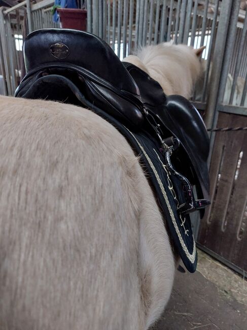 Liebes Reitpony • Allrounder • Freizeitpferd • Stute • 13 Jahre, Naemi Janzen, Konie na sprzedaż, Kaarst, Image 19