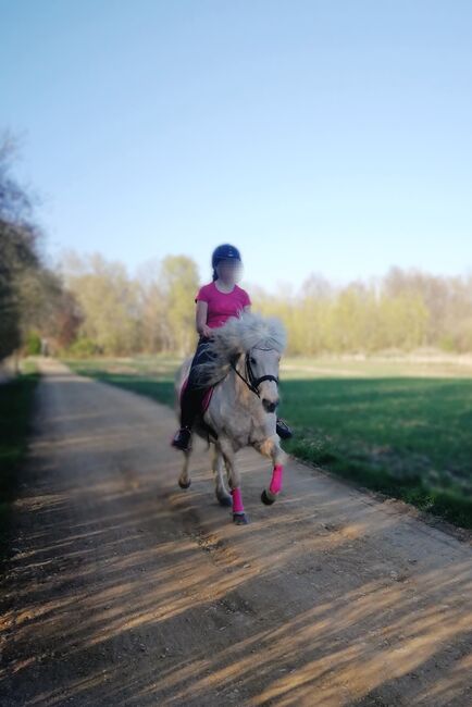 Liebes Reitpony • Allrounder • Freizeitpferd • Stute • 13 Jahre, Naemi Janzen, Konie na sprzedaż, Kaarst, Image 9