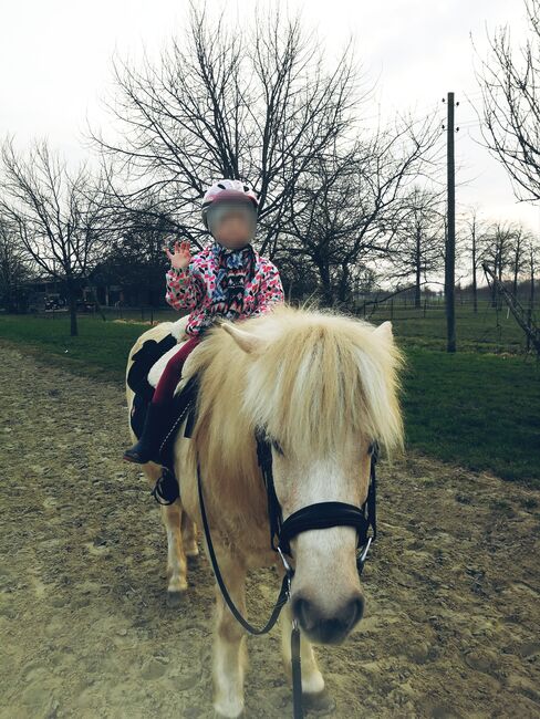 Liebes Reitpony • Allrounder • Freizeitpferd • Stute • 13 Jahre, Naemi Janzen, Konie na sprzedaż, Kaarst, Image 10