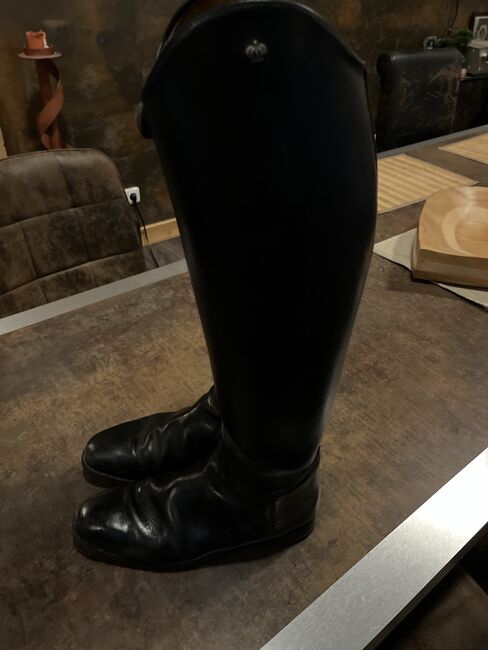 Königs Lederreitstiefel Gr. 39 Dressur neuwertig, Königs Dressur, Roxane, Reitstiefel, Wegberg, Abbildung 2