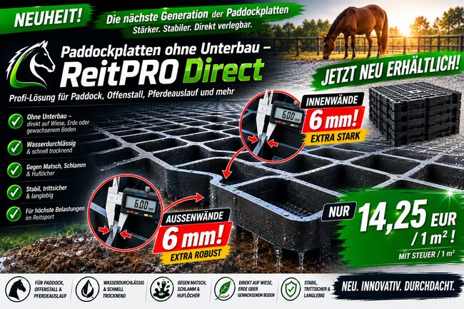 Paddockplatten & Rasengitter kaufen, ideale Paddockgitter ohne Unterbau ReitPRO40, MEGASPAR - Online Shop Rasengitter | Paddockplatten | Kunststoffmatten & Parkplatzgitter , MEGASPAR Online-Shop (Walas Krystian BAU-CONSULTING), Horse & Stable Mats, Berlin