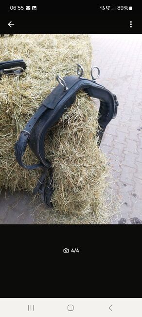 Fahrgeschirr, Heidrun Kraus , Horse Harness, Neuching