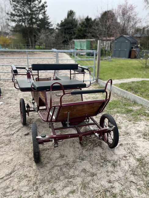 Kutsche Ponykutsche Shettykutsche, Stein, Carriages, Marienwerder 