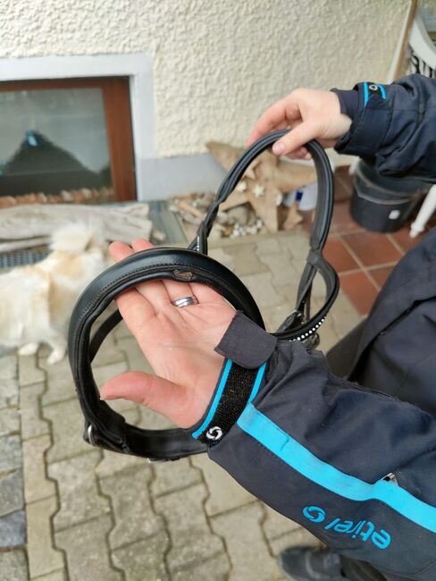 Trense Größe cob, Theresa Plötz, Ogłowia, Eggenfelden , Image 3