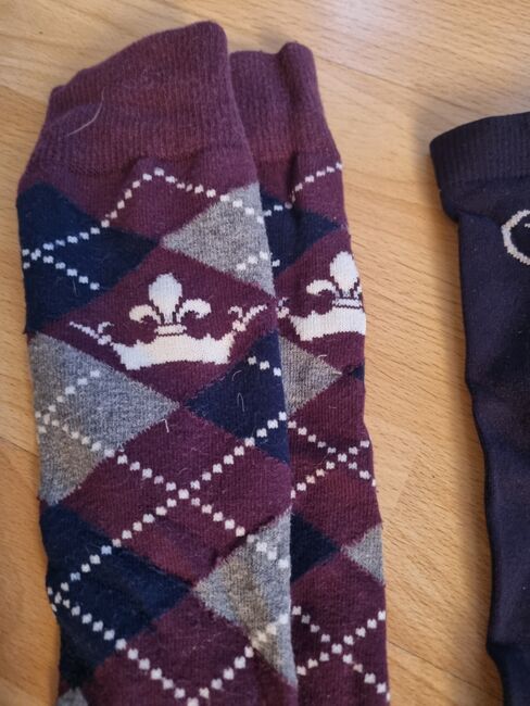 Reitsocken Sammlung, Sabrina , Pozostałe, Berlin, Image 4