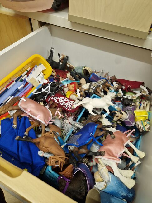 SCHLEICHSAMMLUNG, Schleich, Nina Eigenmann, Pomoce szkoleniowe , Schweizersholz