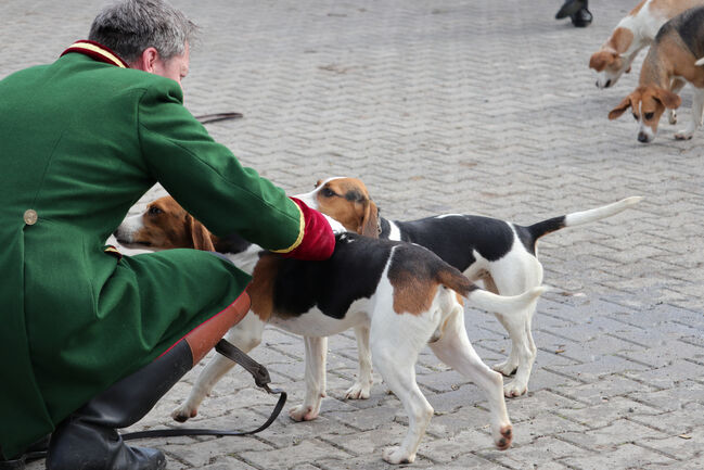 Macht Euch Fit für die Jagd, Kronwitter Petra , Riding Holidays, Mainbernheim, Image 4