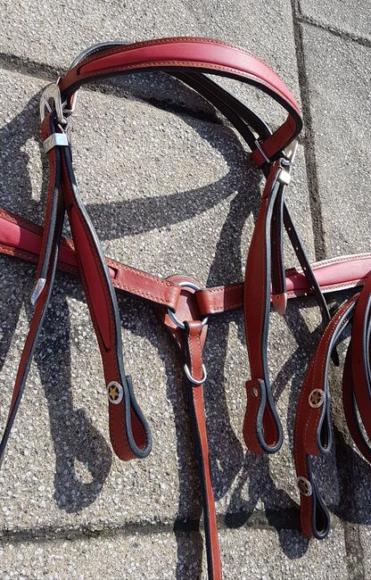 Kombi Trense / Zügel / Vorderzeug Western Leder, schlicht, rot/braun, Tina Pätzold, Bridles & Headstalls, Roth, Image 5