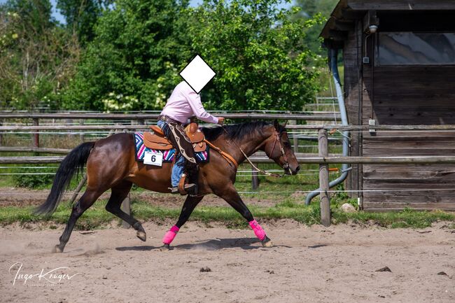 kompakte Quarter Horse Stute mit Herz und guter Allround-Westernausbildung, Kerstin Rehbehn (Pferdemarketing Ost), Pferd kaufen, Nienburg