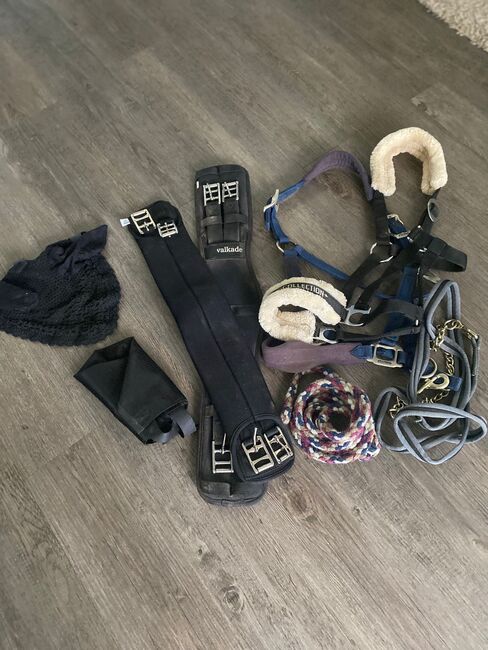 Komplettset / Starterset für den Pferdesport, Marcus, Halters, Markranstädt, Image 9