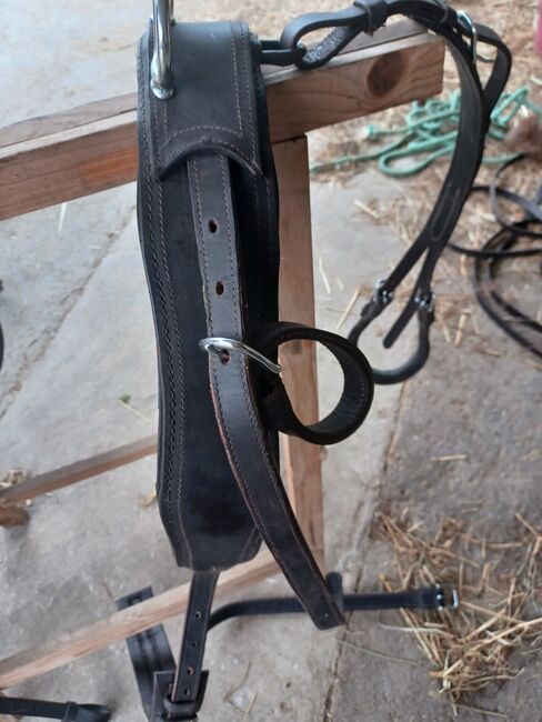 Komplettes Shetty-Einspännergeschirr, Stella, Horse Harness, Stockach, Image 4