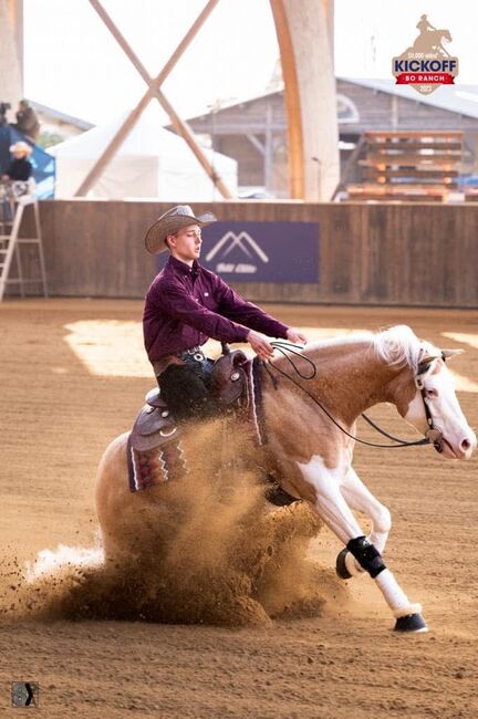 Quarter horse, Ashton  Verdenne , Konie na sprzedaż, Aywaille 