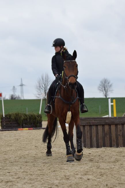 Freizeit pferd sucht erfahrene Partner, Frieda Noack , Konie na sprzedaż, Kleinwaltersdorf , Image 3