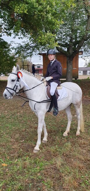 Pferde verkauf, verena weise, Konie na sprzedaż, isny im allgäu, Image 3